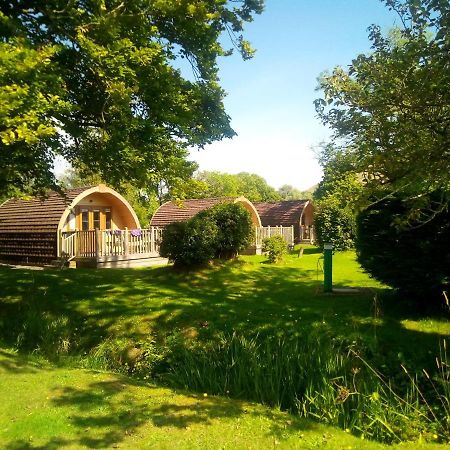 Campsie Glen Holiday Park Fintry Kültér fotó